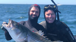 Introducing Wet Suit Don Jr.